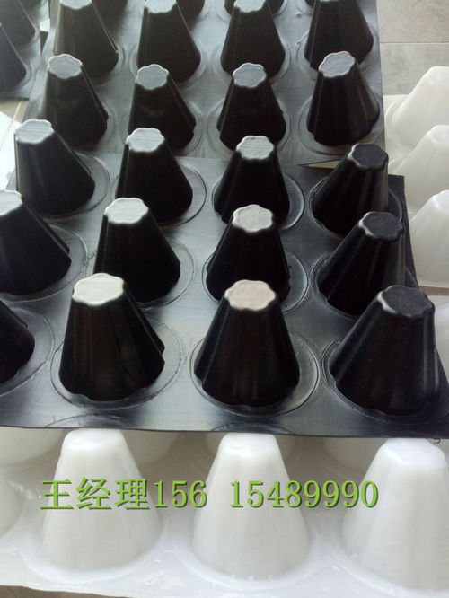 瑞金H20排水板 創鴻品質，構筑堅實防潮基石